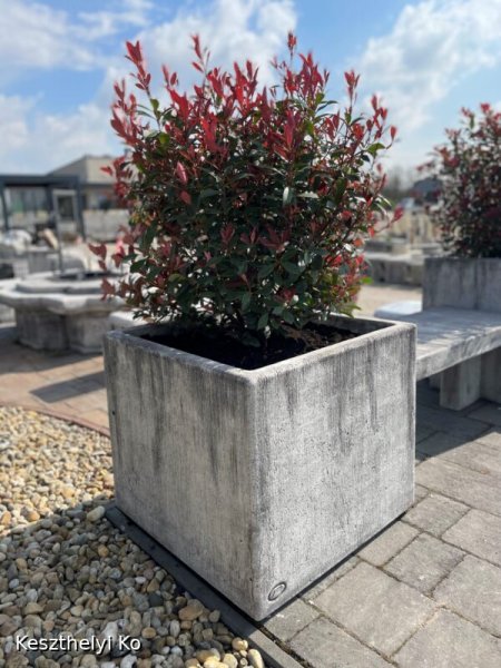 kö virágtartók,beton virágtartók,kaspó,balkonláda,virágláda,virágtartó,kaspó